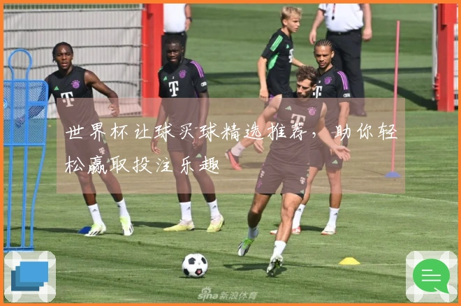 世界杯让球买球精选推荐，助你轻松赢取投注乐趣