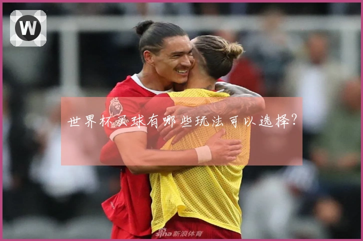 世界杯买球有哪些玩法可以选择？
