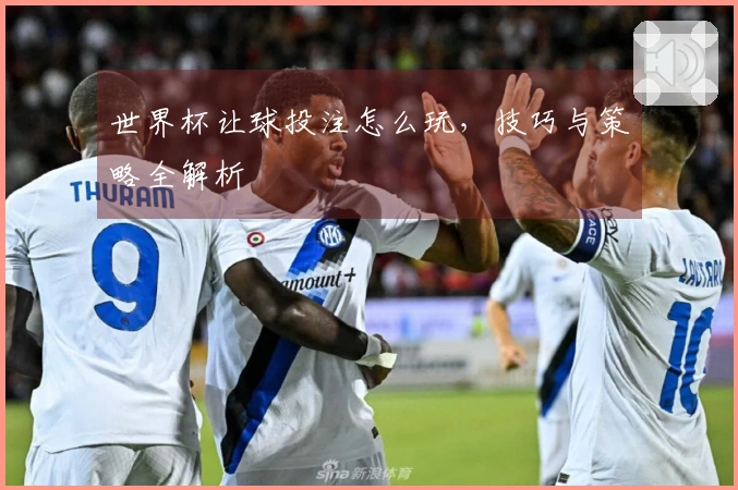 世界杯让球投注怎么玩，技巧与策略全解析