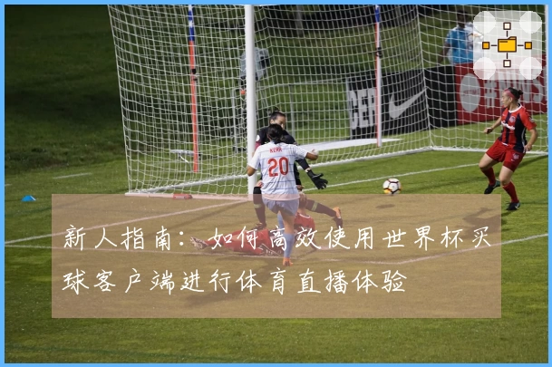 新人指南：如何高效使用世界杯买球客户端进行体育直播体验