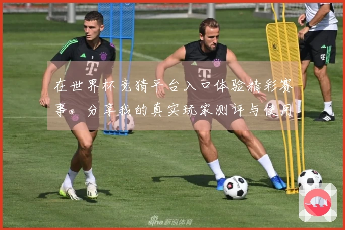 在世界杯竞猜平台入口体验精彩赛事，分享我的真实玩家测评与使用心得