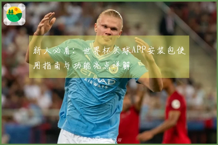 新人必看：世界杯买球APP安装包使用指南与功能亮点详解