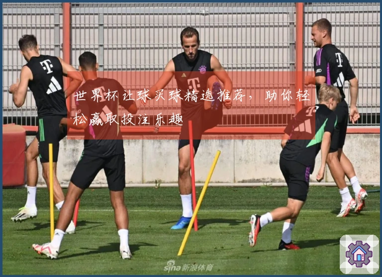 世界杯让球买球精选推荐，助你轻松赢取投注乐趣