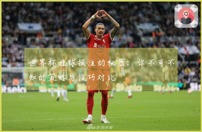 世界杯让球投注的秘密：你不可不知的策略与技巧对比