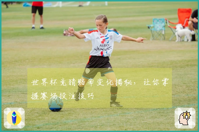 世界杯竞猜赔率变化揭秘，让你掌握赛场投注技巧