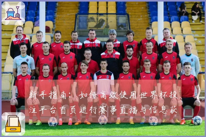 新手指南:如何高效使用世界杯投注平台首页进行赛事直播与信息获取