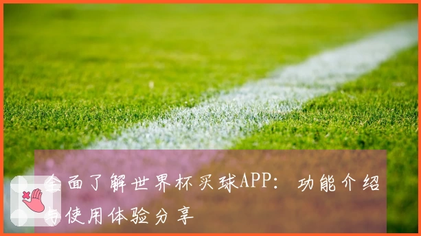全面了解世界杯买球APP：功能介绍与使用体验分享