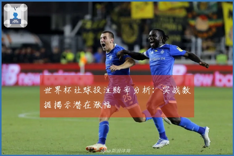 世界杯让球投注赔率分析：实战数据揭示潜在涨幅