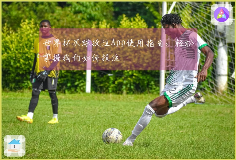 世界杯买球投注App使用指南，轻松掌握我们如何投注