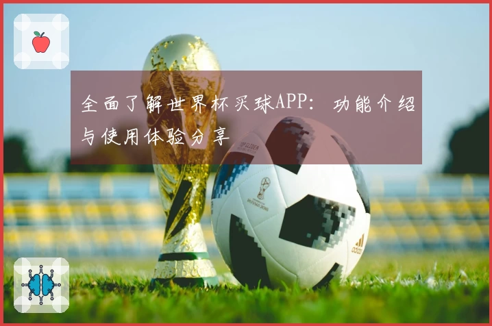全面了解世界杯买球APP：功能介绍与使用体验分享