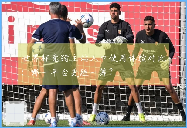 世界杯竞猜主站入口使用体验对比：哪一平台更胜一筹？