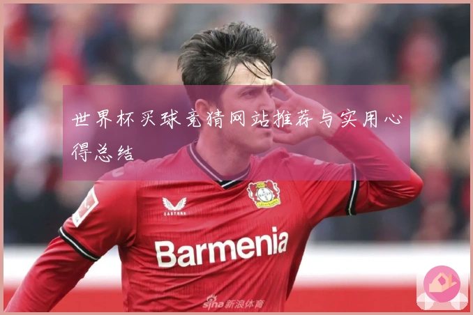 世界杯买球竞猜网站推荐与实用心得总结